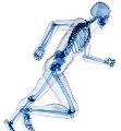 Post Graduate Degree of Expert in Musculoskeletal Ultrasound Post Graduate Degree of Expert in Musculoskeletal Ultrasound