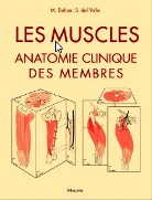 Les muscles