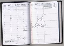 Échographie : OUI … mais QUAND ? Échographie : OUI … mais QUAND ?