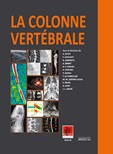 La colonne vertébrale