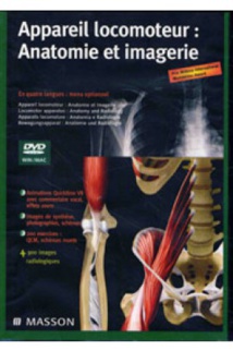 DVD: appareil locomoteur DVD: appareil locomoteur