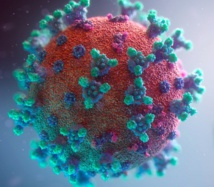 Echographie pulmonaire dans le cadre du COVID