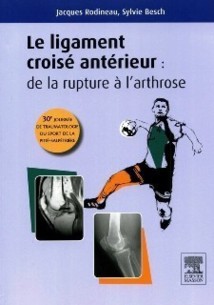 Le ligament croisé antérieur Le ligament croisé antérieur