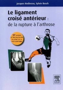 Le ligament croisé antérieur