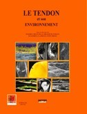 Le tendon et son environnement Le tendon et son environnement