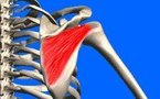 Rupture isolée du tendon infra-épineux