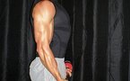 Le Corps Musculaire du Biceps Brachial