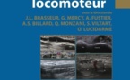 Actualités en échographie de l'appareil locomoteur