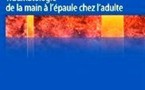 Traumatologie de la main à l'épaule chez l'adulte