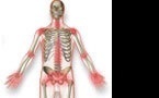 Arthrolink.com