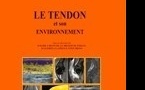 Le tendon et son environnement
