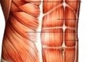 Lésion de l'enthèse chondro-costale du droit abdominal