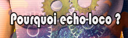 Pourquoi-echo-loco_a27.html